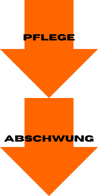 Pflege und Abschwung Zwei Pfeile zeigen die nächsten Schritte im Produktlebenszyklus: Pflege und Abschwung