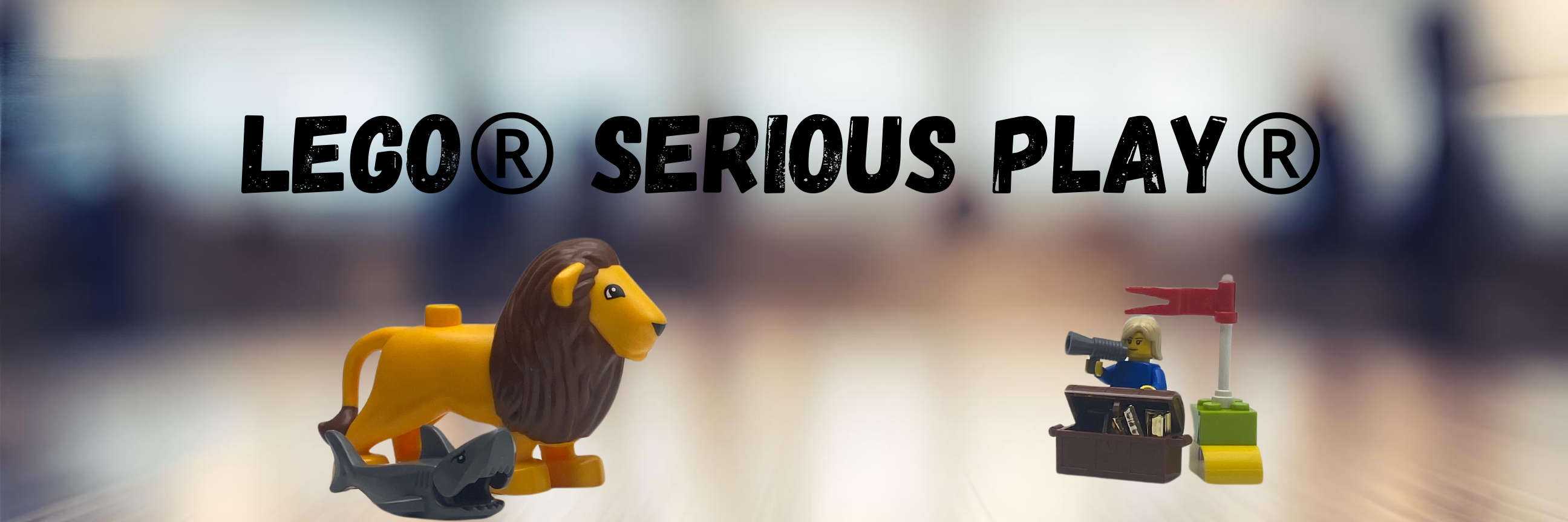 LEGO SERIOUS PLAY LEGO SERIOUS PLAY